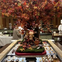 スプレンディード - 