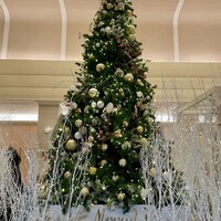 やまなみ - 