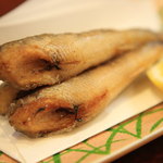 旬の料理　大内 -  