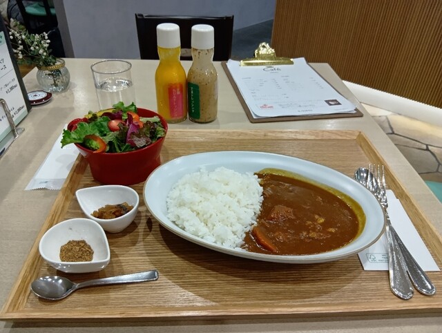 和歌山の食事 ステーキ デ ヤンギ （STEAK DE YANGI） - 和歌山港/ステーキ