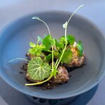 プレゼンテ スギ - 2024.12 森の地面（ユキノシタ、ハコベ、スナップエンドウの新芽、ヤマドリタケのフリット、ブラックオリーブ）