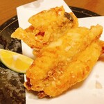 ふぐ良 ぶるーむ - 