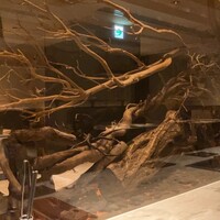 焼肉うしごろ 横浜店 - 