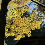 山菜料理 みたき園 - 