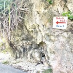 食堂かりか - ビーチ入口