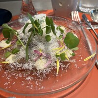 THE CARNE tokyo - 