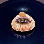 イル アオヤマ - 