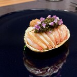 イル アオヤマ - 