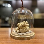 イル アオヤマ - 