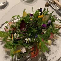 レフェルヴェソンス - 