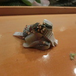 小判寿司 -  コハダ