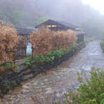 鶴の湯温泉 - しっとりと煙る朝、起き抜けて、露天風呂へ…
