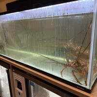 蟹長者 - 