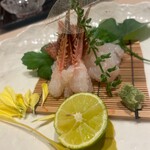 銀座 蟹 あかつき - 