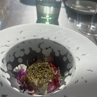 Restaurant Bellustar - 
