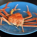 越前かに専門店 お食事処 小鉄 - 