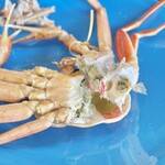 越前かに専門店 お食事処 小鉄 - 