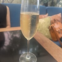 CICADA - 泡で乾杯