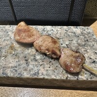 始祖鳥 - 