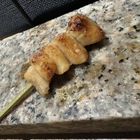 始祖鳥 - 