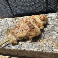 始祖鳥 - 