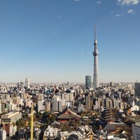 スカイグリルブッフェ武藏 - スカイツリー&浅草寺&花やしきも全部見えました