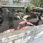 三代目木村屋 - 