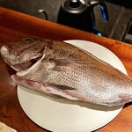 蒼 - あのコンソメちゃんになってくれているのね。
      美味しくいただいています。