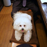 旬采 - 今日は賑やかだったわネッ！