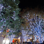 旬采 - けやき坂のイルミネーション