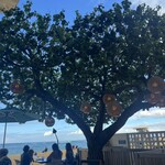 Hau Tree Lanai Restaurant - 