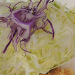 丸五 - きゃべ千 