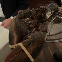 ウルフギャング・ステーキハウス 六本木 - 