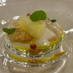 Ristorante TSUMU - コウイカ・ボタンエビ・真鯛
      下には 菊芋が隠れています