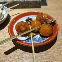 始祖鳥 - 