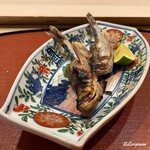 御料理 寺沢 - 鵡川産の本柳葉魚焼