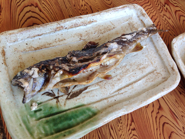 江釣子つり堀センター - 江釣子（その他）