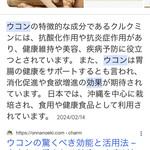 インデアンレストラン  ニューミラ - 