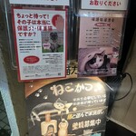 保護猫カフェ ねこかつ 大宮日進店 - 
