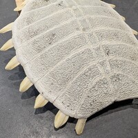 鮨 Matsui はなれ - 