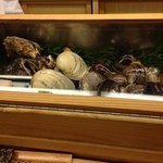 玉寿司 -  ネタケース1