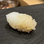 鮨 忠 - アオリイカ