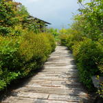 手打ちそば　つち也 -  外観