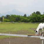 手打ちそば　つち也 -  富士ミルクランド