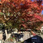 酒粕うどん たぐち - 近くの紅葉風景✨️