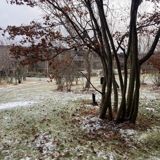 Japanese cuisine Shinju