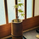 酒粕うどん たぐち - 入口には青紅葉が(ღ*ˇ ˇ*)｡o♡ᔆᵘᵗᵉᵏⁱ♡✨️