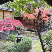 膳處漢ぽっちり - 