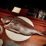 蒼 - 神々しくもある　余すことなく頂きます