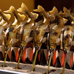 柳家錦 - メイン写真: